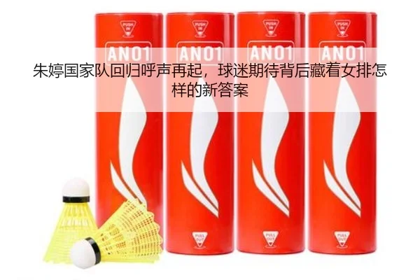 朱婷国家队回归呼声再起，球迷期待背后藏着女排怎样的新答案 - wanmeizhenren